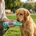 C3: Hidratación Inmediata al Aire Libre para Paseos con Perros